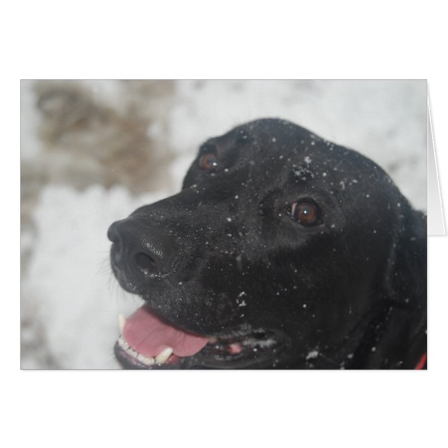 ongedefinieerd (Voorkant Horizontaal)