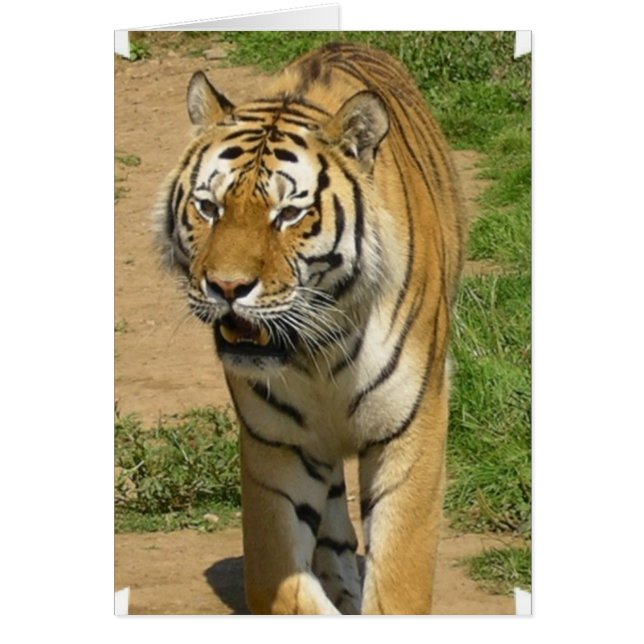 ongedefinieerd (Voorkant)