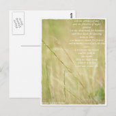 ongedefinieerd briefkaart (Voorkant / Achterkant)