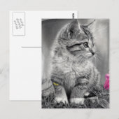 ongedefinieerd briefkaart (Voorkant / Achterkant)