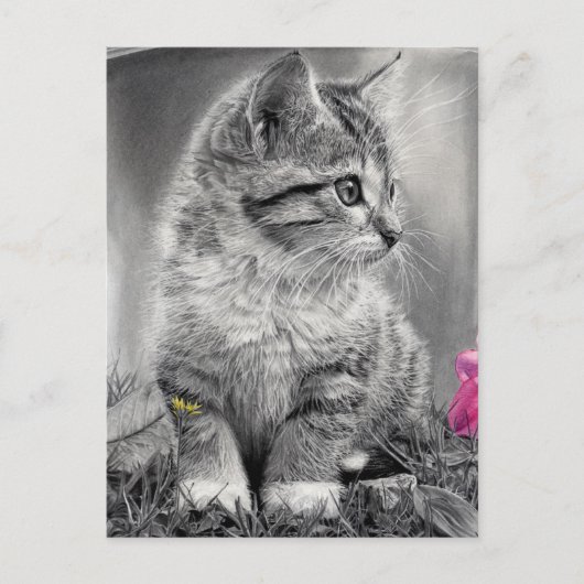 ongedefinieerd briefkaart (Voorkant)