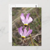 ongedefinieerd briefkaart (Voorkant / Achterkant)