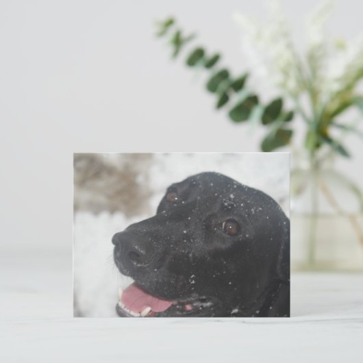 ongedefinieerd briefkaart (Staand voorkant)