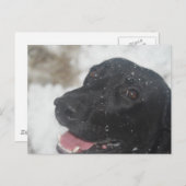 ongedefinieerd briefkaart (Voorkant / Achterkant)