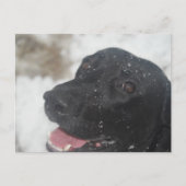 ongedefinieerd briefkaart (Voorkant)