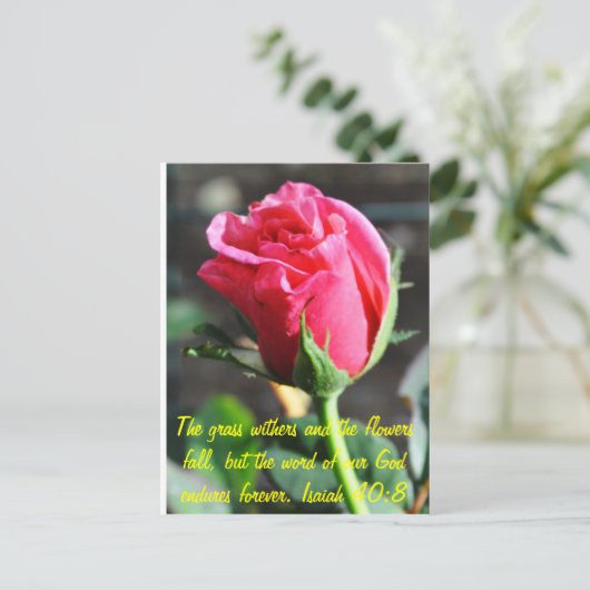 ongedefinieerd briefkaart (Staand voorkant)