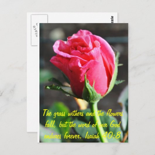 ongedefinieerd briefkaart (Voorkant / Achterkant)