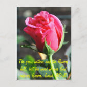 ongedefinieerd briefkaart (Voorkant)