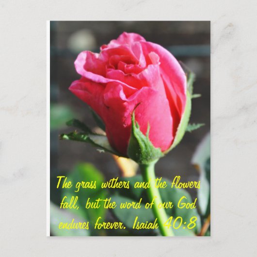 ongedefinieerd briefkaart (Voorkant)