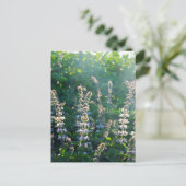 ongedefinieerd briefkaart (Staand voorkant)