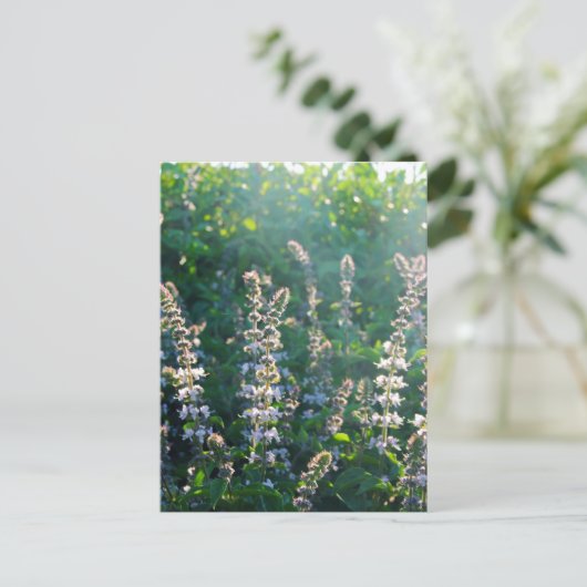 ongedefinieerd briefkaart (Staand voorkant)