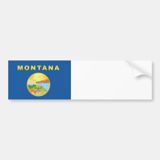 ongedefinieerd bumpersticker (Voorkant)