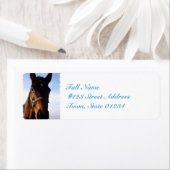 ongedefinieerd etiket (Insitu)