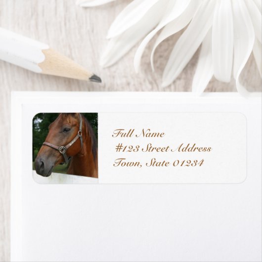 ongedefinieerd etiket (Insitu)