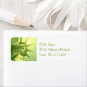 ongedefinieerd etiket (Insitu)