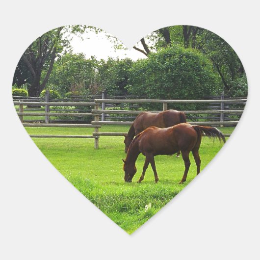 ongedefinieerd hart sticker (Voorkant)