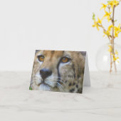 ongedefinieerd kaart (Gele Bloem)