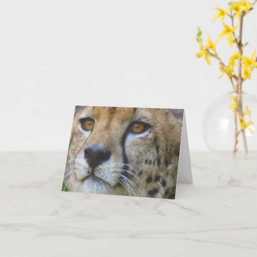 ongedefinieerd kaart (Gele Bloem)