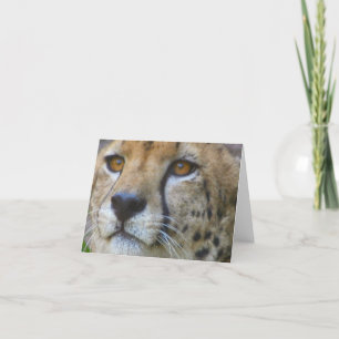 ongedefinieerd kaart