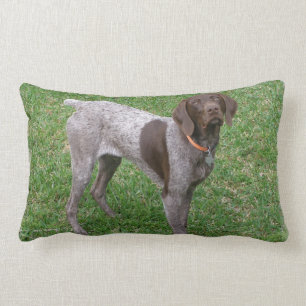 ongedefinieerd kussen