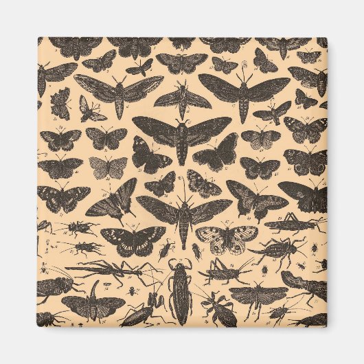 ongedefinieerd magneet (Voorkant)