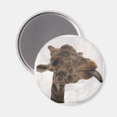 ongedefinieerd magneet (Voorkant / Achterkant)