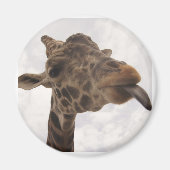 ongedefinieerd magneet (Voorkant)