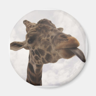 ongedefinieerd magneet