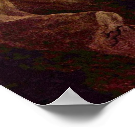 ongedefinieerd poster (Hoek)