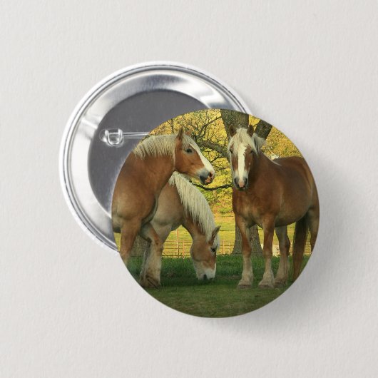 ongedefinieerd ronde button 5,7 cm (Voorkant /achterkant)