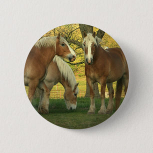 ongedefinieerd ronde button 5,7 cm