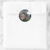 ongedefinieerd ronde sticker (Tas)