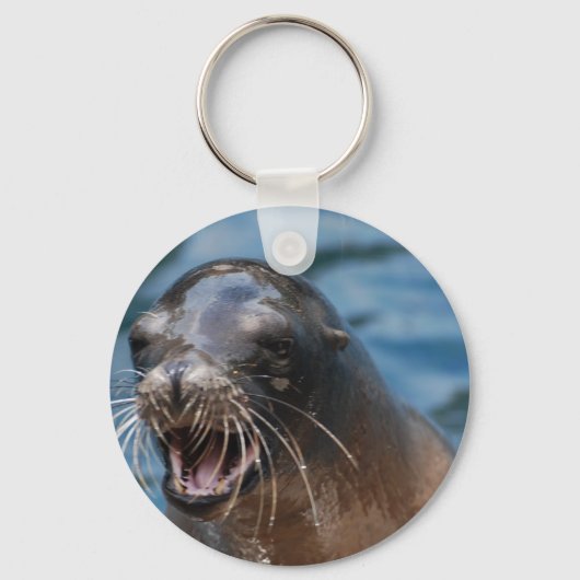 ongedefinieerd sleutelhanger (Voorkant)