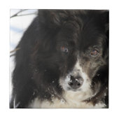 ongedefinieerd tegeltje (Voorkant)