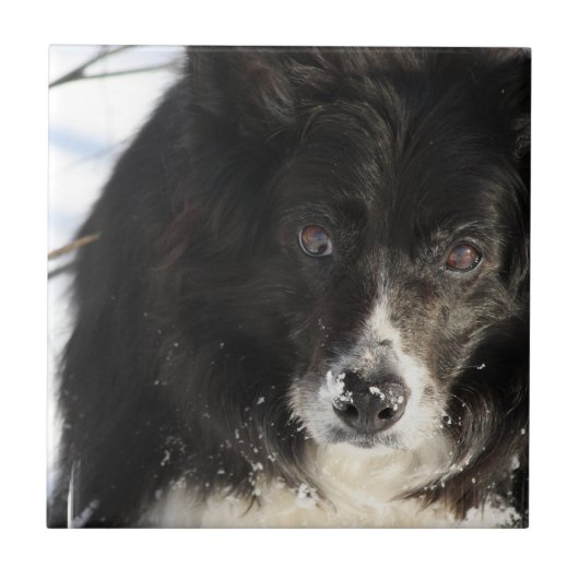 ongedefinieerd tegeltje (Voorkant)