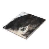 ongedefinieerd tegeltje (Zijkant)