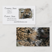 ongedefinieerd visitekaartje (Voorkant / Achterkant)