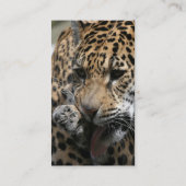 ongedefinieerd visitekaartje (Achterkant)