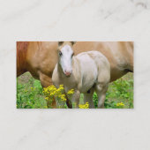 ongedefinieerd visitekaartje (Achterkant)