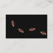 Ongediertebestrijding Exterminator Visitekaartjes (Achterkant)