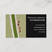 Ongedierteverdelger voor de bestrijding van termie visitekaartje (Achterkant)