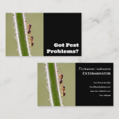 Ongedierteverdelger voor de bestrijding van termie visitekaartje (Voorkant / Achterkant)