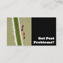 Ongedierteverdelger voor de bestrijding van termie