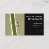 Ongedierteverdelger voor de bestrijding van termie visitekaartje (Achterkant)