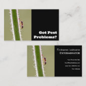 Ongedierteverdelger voor de bestrijding van termie visitekaartje (Voorkant / Achterkant)