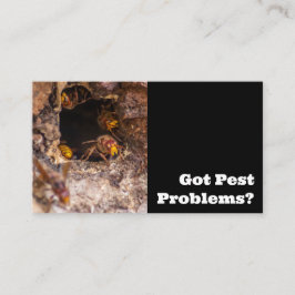 Ongedierteverdelger voor horzels wespen ongedierte visitekaartje