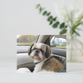 Ongeduldige passagier briefkaart (Staand voorkant)