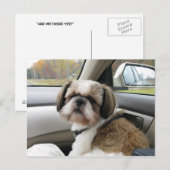 Ongeduldige passagier briefkaart (Voorkant / Achterkant)