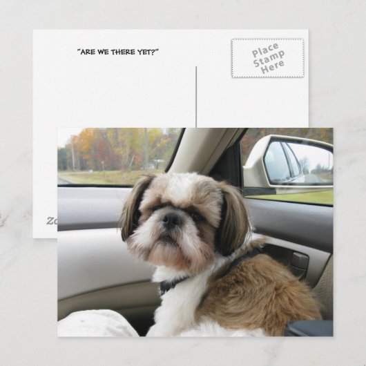 Ongeduldige passagier briefkaart (Voorkant / Achterkant)