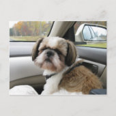 Ongeduldige passagier briefkaart (Voorkant)